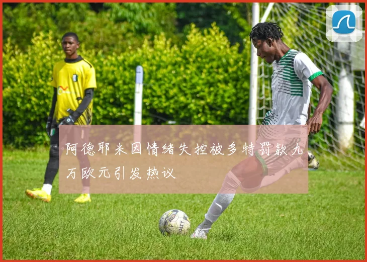 阿德耶米因情绪失控被多特罚款九万欧元引发热议