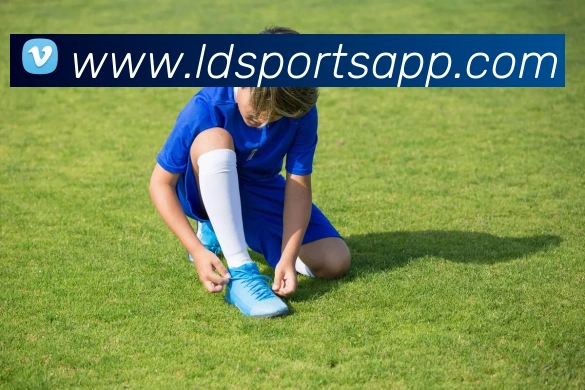 乐动体育APP 封面图