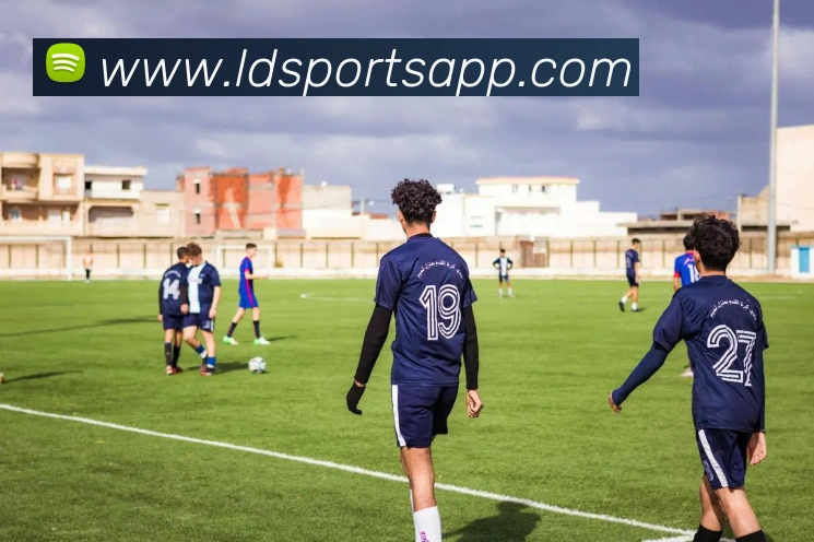 数据防护可视化