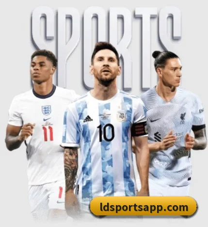 我们在做什么 - LDSPORTS